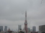 Tokyo tower/東京タワーが見えました
